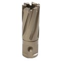 Hougen 13/16 in. X 1 in. Copperhead Carbide Tip Annular Cutter 18126